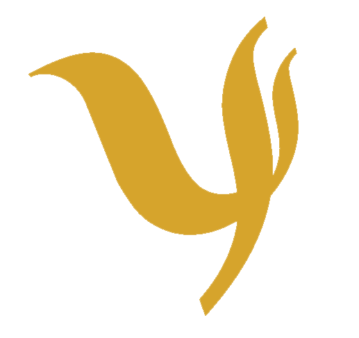 Lorenzo Berti – Psicologo psicoterapeuta